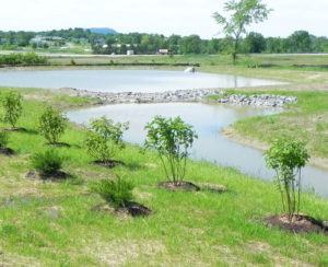 Stormwater & Erosion abatement