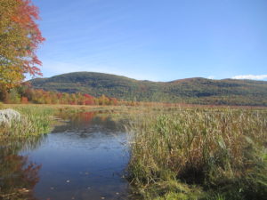 Vermont Environmental study