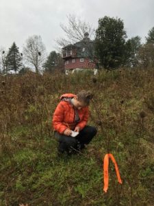 Andrea Dotolo - Vermont Environmental Engineer