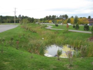Tech Park Pond - Vermont