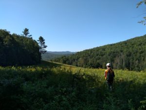 Vermont - growing season