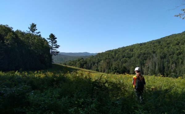 Vermont - growing season